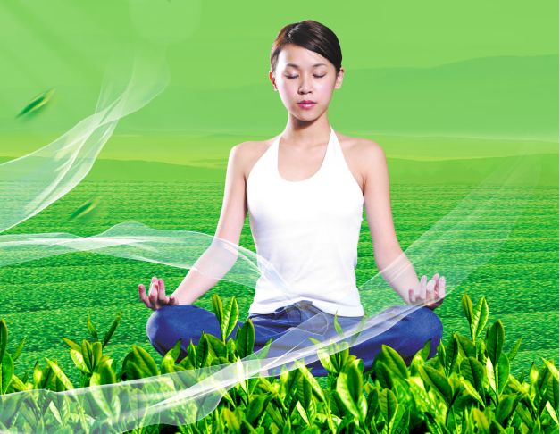 做假乍得护照